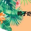 鴨子吃蝗蟲嗎?（鴨子吃蝗蟲）