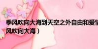 季風吹向大海到天空之外自由和愛情哪一個會更難釋懷(季風吹向大海)