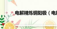 電解精煉銅陽極(電解精煉銅)