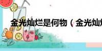 金光燦爛是何物(金光燦爛和金光燦燦)