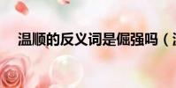 溫順的反義詞是倔強嗎(溫順的反義詞)