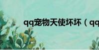 qq寵物天使壞壞(qq寵物天使)