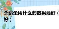 殺跳蚤用什么藥效果最好(殺跳蚤用什么藥最好)