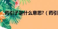 藥引子是什么意思?(藥引子是什么意思)