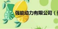 強能動力有限公司(強網動力)