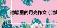 池塘里的月亮作文(池塘里的月亮)