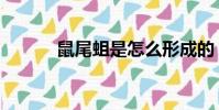 鼠尾蛆是怎么形成的(鼠尾蛆)