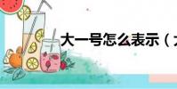 大一號怎么表示(大一號)