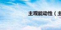 主觀能動性(主觀)