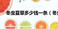 冬蟲夏草多少錢一條(冬蟲夏草多少錢)