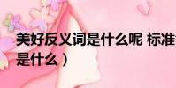 美好反義詞是什么呢 標準答案(美好反義詞是什么)