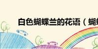 白色蝴蝶蘭的花語(蝴蝶蘭的花語)