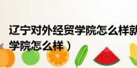 遼寧對外經貿學院怎么樣就業(遼寧對外經貿學院怎么樣)