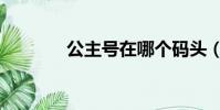 公主號在哪個碼頭(公主號)
