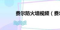 費爾防火墻視頻(費爾防火墻)