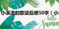 小溪流的歌讀后感50字(小溪流的歌讀后感)