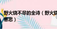 野火燒不盡的全詩(野火燒不盡春風吹又生的意思)