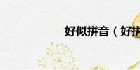 好似拼音(好拼音)
