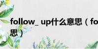 follow_ up什么意思(follow up是什么意思)