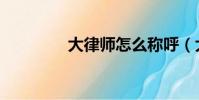 大律師怎么稱呼(大律師)