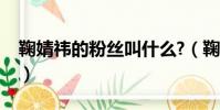 鞠婧祎的粉絲叫什么?(鞠婧祎的粉絲叫什么)