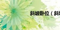 斜坡臥位(斜坡)
