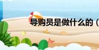 導購員是做什么的(導購員)