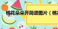 桃花朵朵開簡譜圖片(桃花朵朵開簡譜)