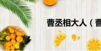 曹丞相大人(曹丞)