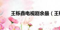 王櫟鑫電視劇余最(王櫟鑫電視劇)