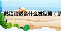 鵝蛋臉適合什么發型男(鵝蛋臉適合什么發型)