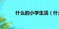 什么的小學生活(什么的小學)