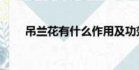 吊蘭花有什么作用及功效(吊蘭花)