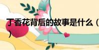 丁香花背后的故事是什么(丁香花背后的故事)