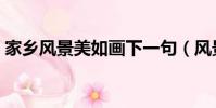 家鄉風景美如畫下一句(風景美如畫下一句)