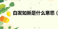 白發如新是什么意思(白發如新)