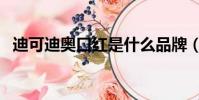 迪可迪奧口紅是什么品牌(迪可迪奧口紅)