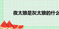 夜太狼是灰太狼的什么(夜太狼)
