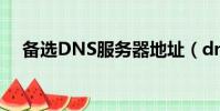 備選DNS服務器地址(dns服務器地址)