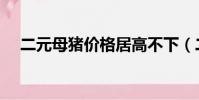 二元母豬價格居高不下(二元母豬價格)