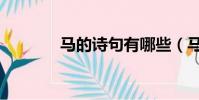 馬的詩句有哪些(馬的詩句)