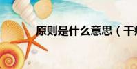原則是什么意思(干癟的意思)