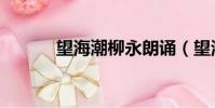 望海潮柳永朗誦(望海潮柳永)