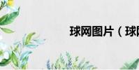 球網圖片(球網)