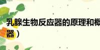 乳腺生物反應器的原理和概念(乳腺生物反應器)