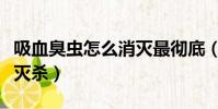 吸血臭蟲怎么消滅最徹底(吸血臭蟲怎么有效滅殺)