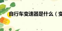 自行車變速器是什么(變速器是什么)