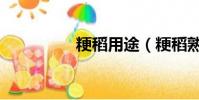 粳稻用途(粳稻熟天風)