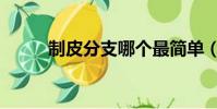 制皮分支哪個最簡單(制皮分支)