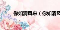 你如清風來(你如清風暖我半生)